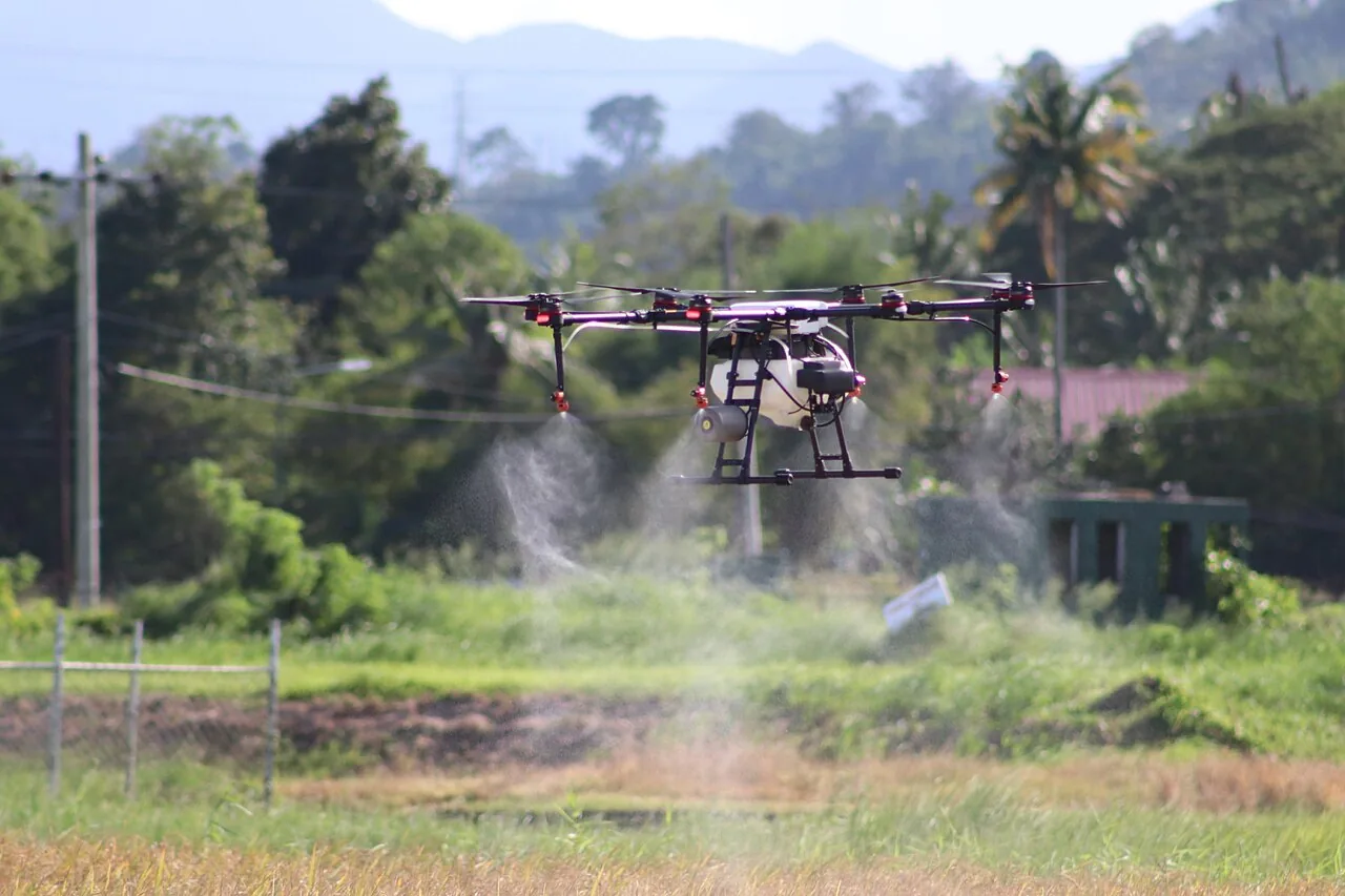 A large spray-equipped agricultural drone applies liquid from multiple nozzles over a rice field during an IRRI demonstration.