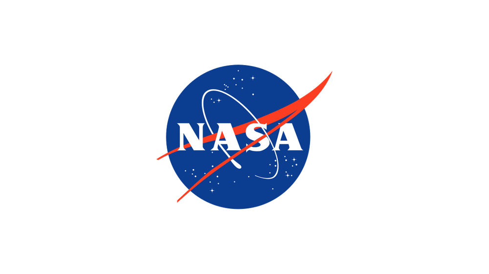 NASA blue meatball insignia
