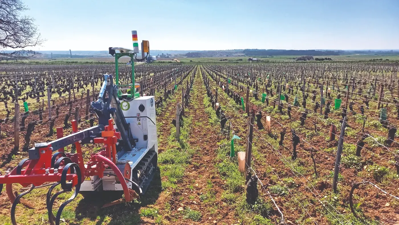 Official Naïo image showing the Jo vineyard robot.