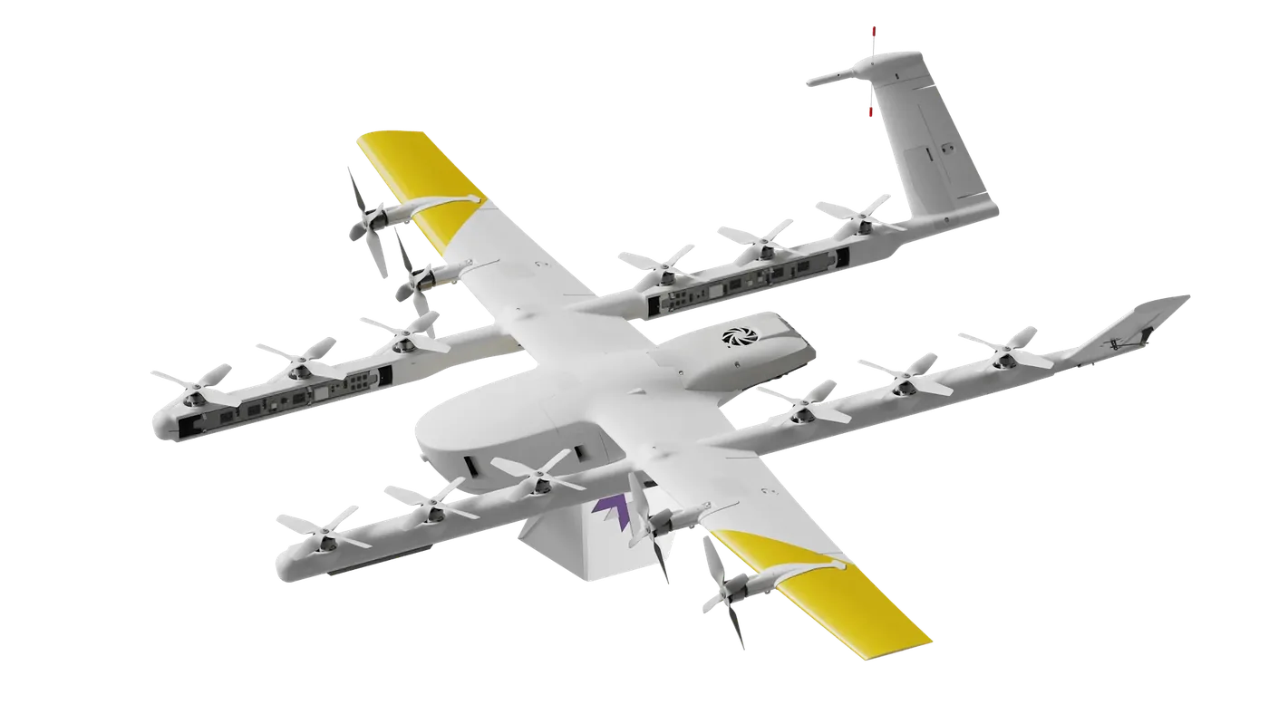 Wing delivery aircraft product view